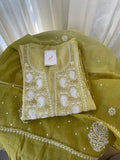 GREEN OMBRÉ MUL CHANDERI PANEL CHIKANKARI KURTA SET